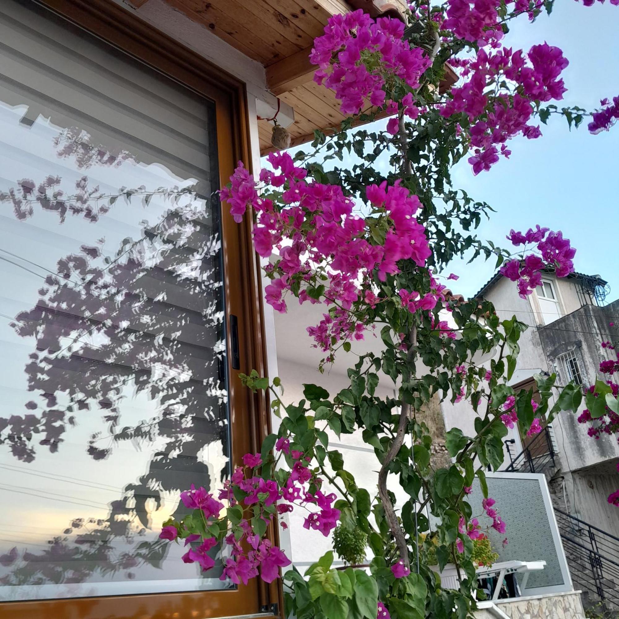 Denni’s Home Sarandë Eksteriør bilde