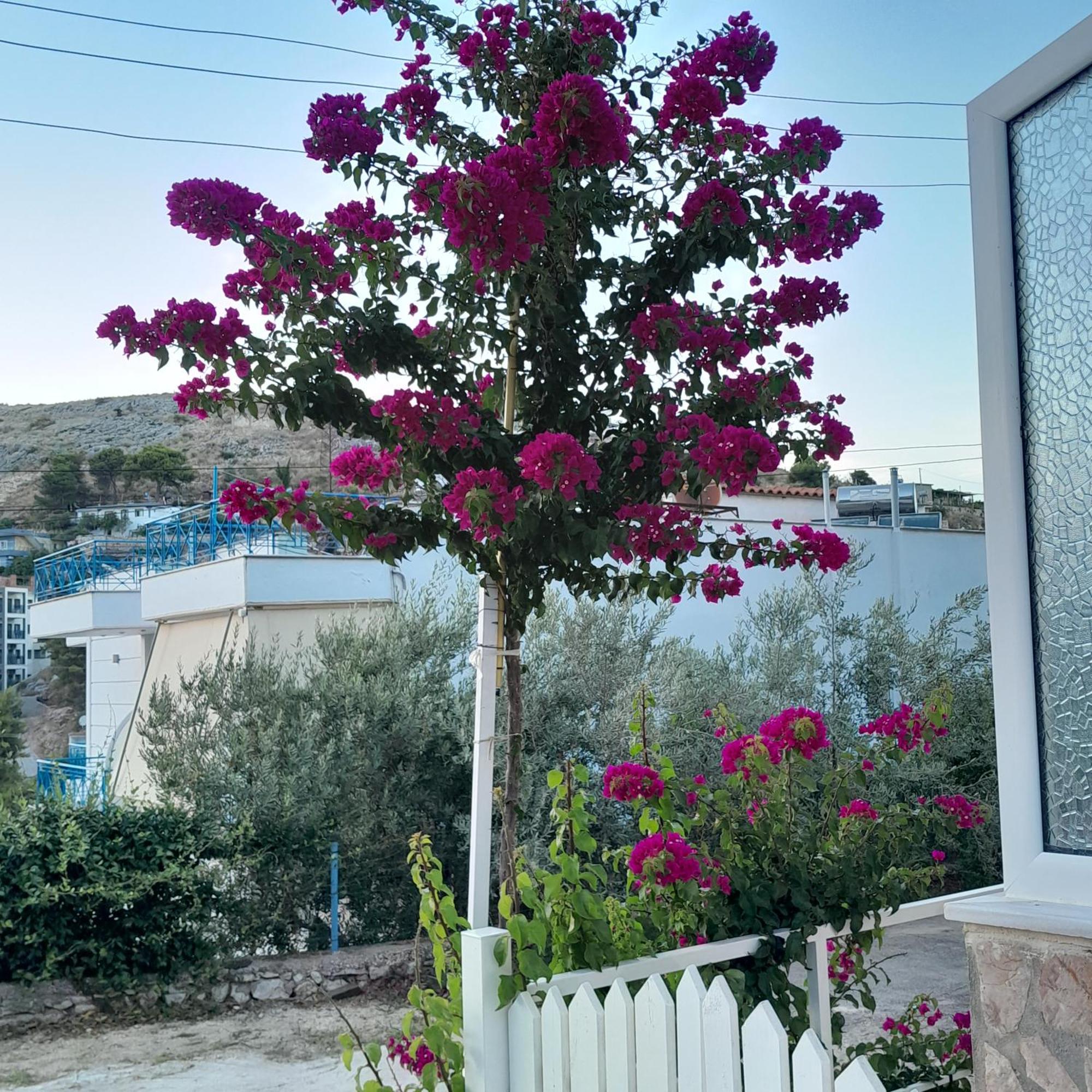 Denni’s Home Sarandë Eksteriør bilde