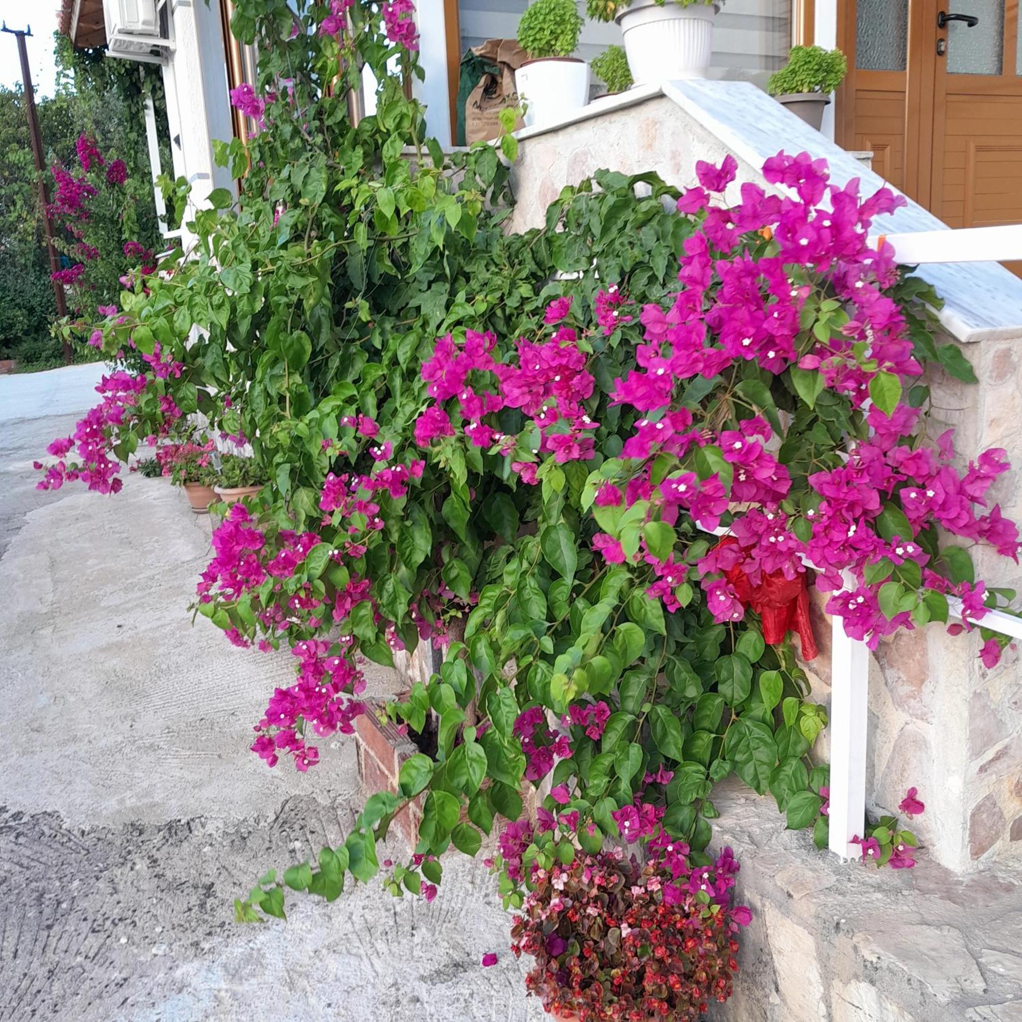 Denni’s Home Sarandë Eksteriør bilde